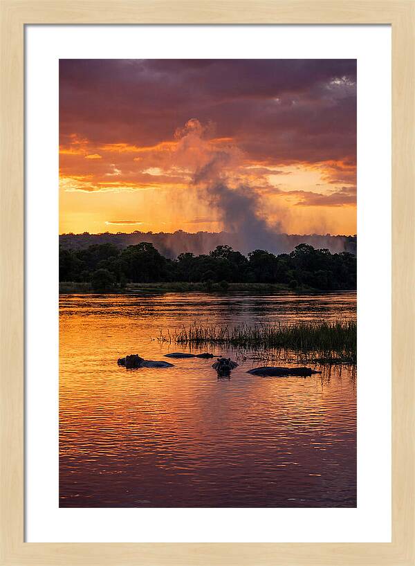 Zambezi River Sunset Serenity