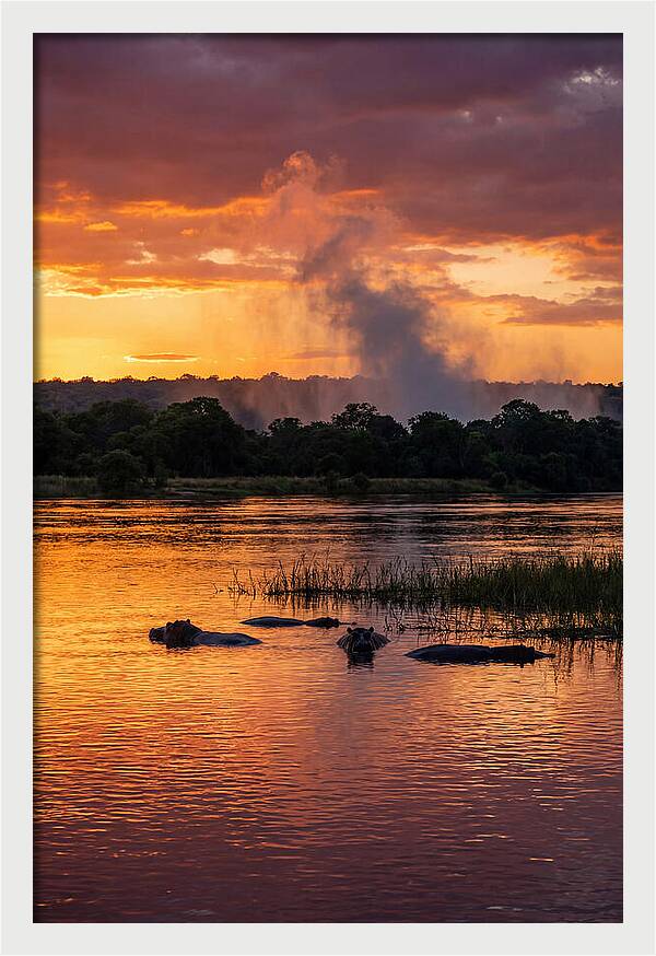 Zambezi River Sunset Serenity
