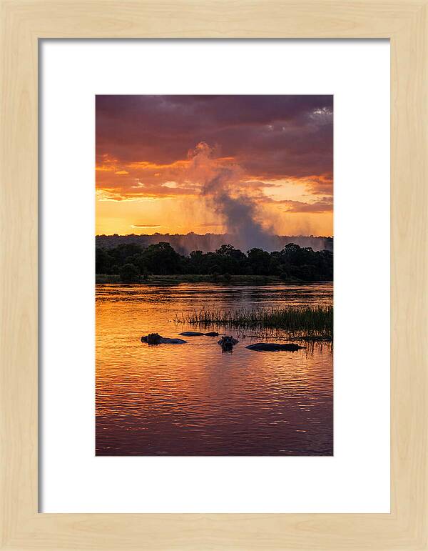 Zambezi River Sunset Serenity