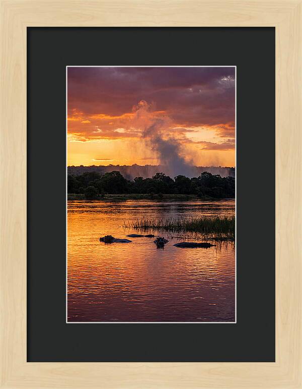 Zambezi River Sunset Serenity