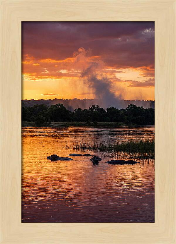 Zambezi River Sunset Serenity
