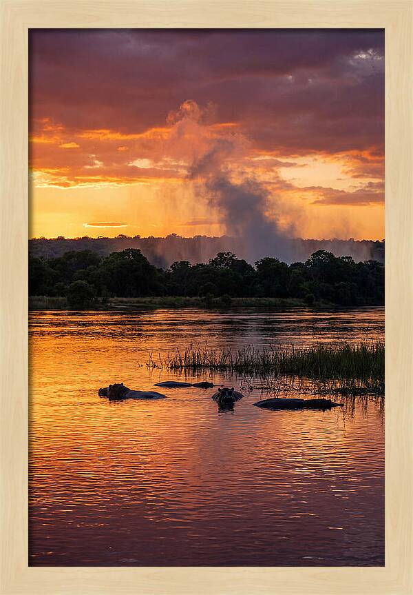 Zambezi River Sunset Serenity