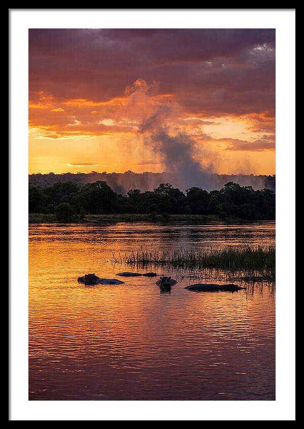 Zambezi River Sunset Serenity