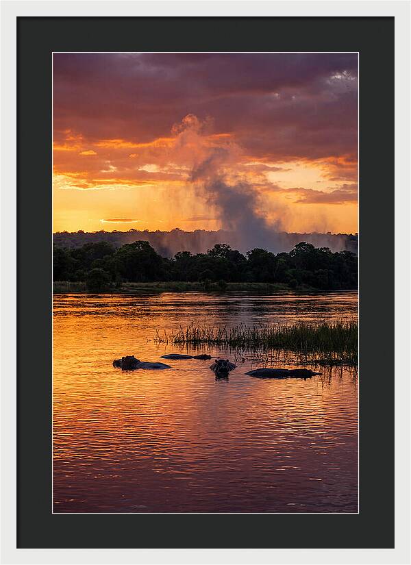 Zambezi River Sunset Serenity