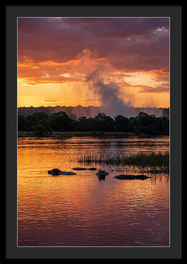 Zambezi River Sunset Serenity