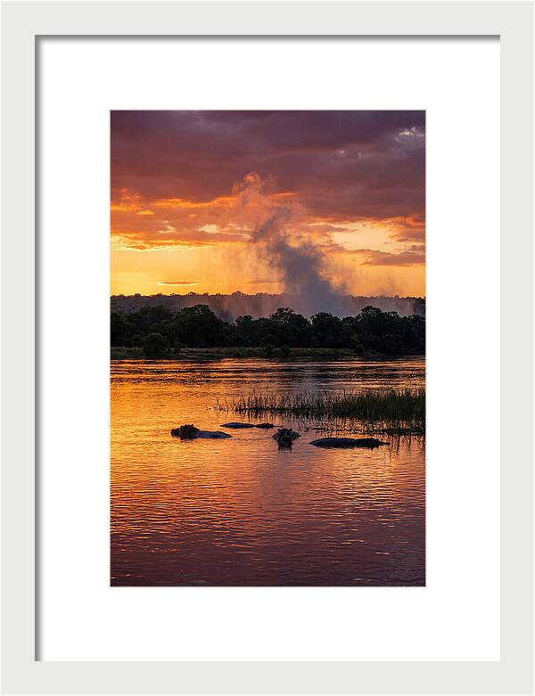 Zambezi River Sunset Serenity