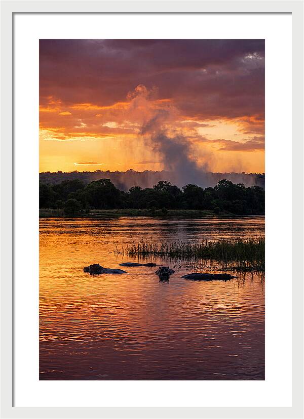 Zambezi River Sunset Serenity