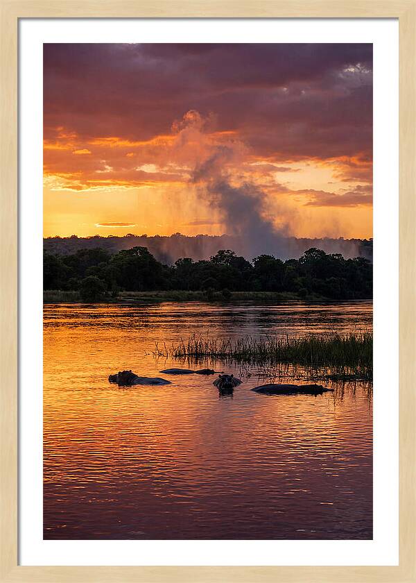 Zambezi River Sunset Serenity