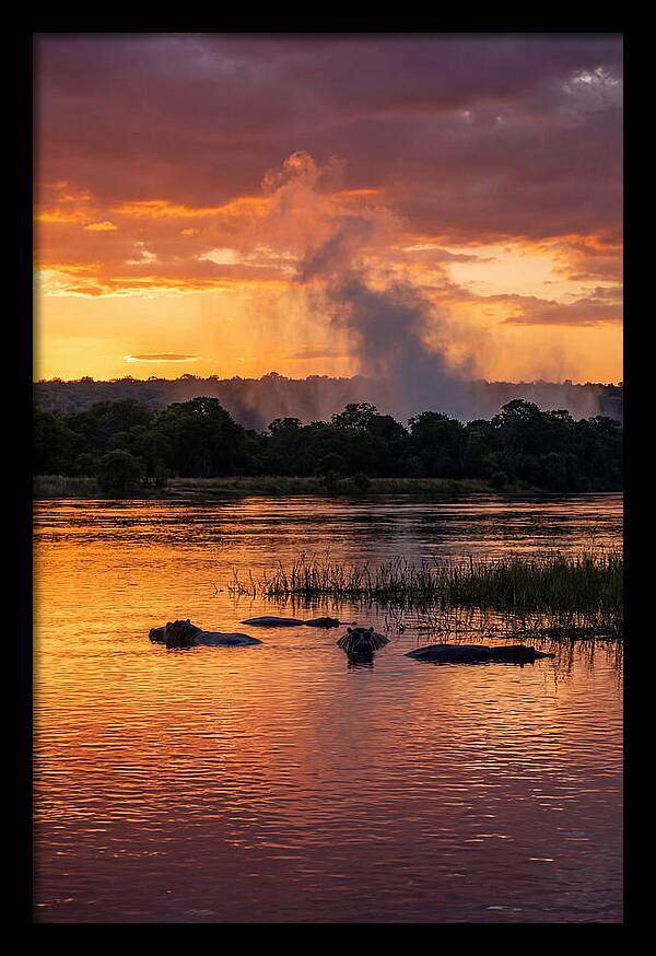 Zambezi River Sunset Serenity