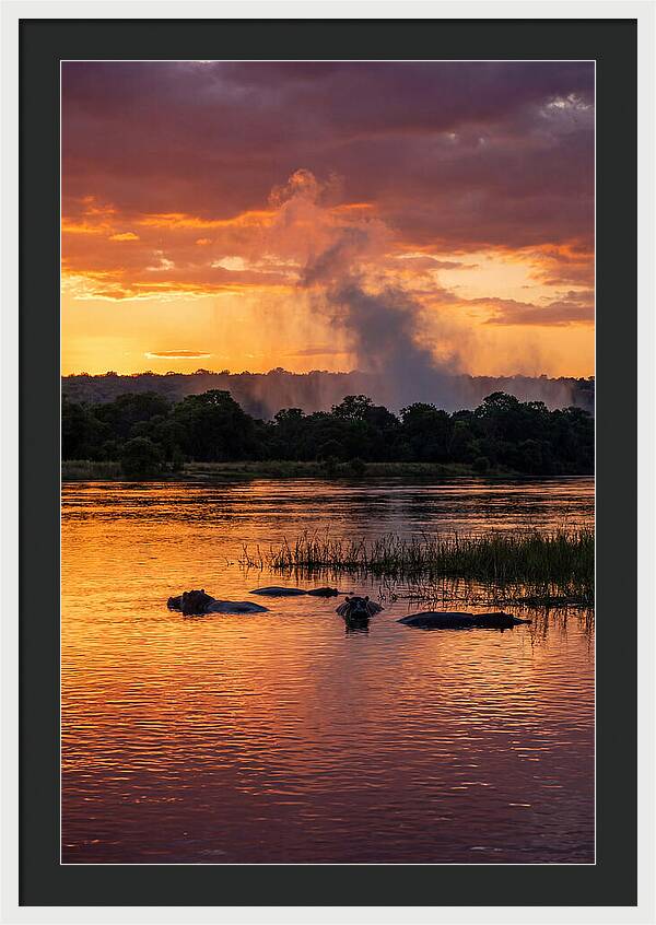 Zambezi River Sunset Serenity