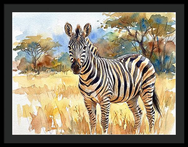 Zebra In Golden Grasslands