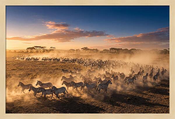Zebras Galloping Across The Savannah