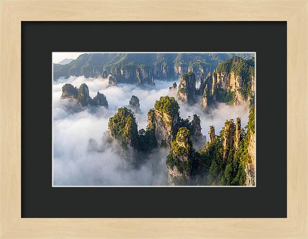 Zhangjiajie Peaks In Mist