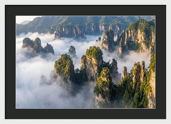 Zhangjiajie Peaks In Mist