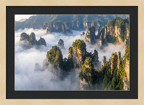 Zhangjiajie Peaks In Mist