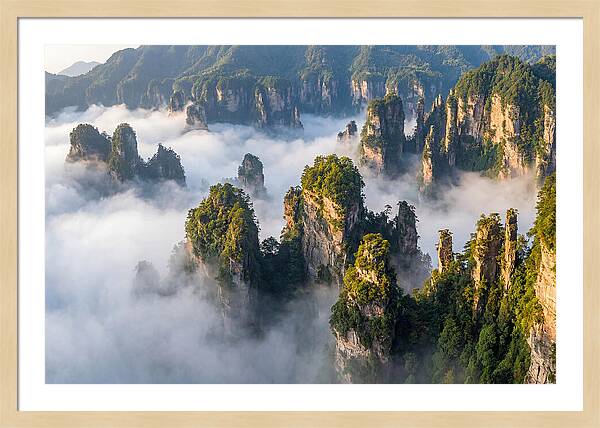 Zhangjiajie Peaks In Mist
