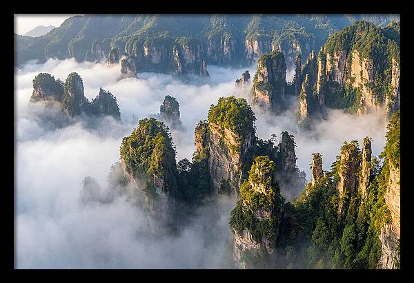 Zhangjiajie Peaks In Mist