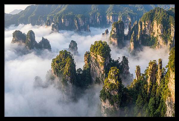 Zhangjiajie Peaks In Mist