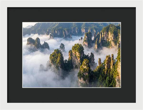 Zhangjiajie Peaks In Mist