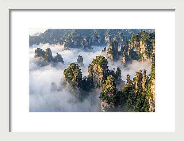 Zhangjiajie Peaks In Mist