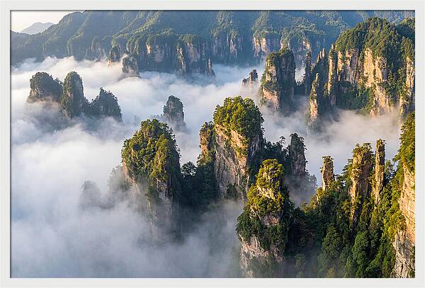 Zhangjiajie Peaks In Mist