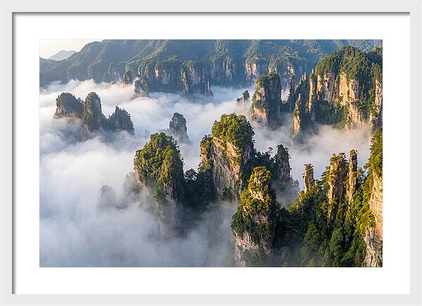 Zhangjiajie Peaks In Mist