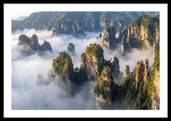Zhangjiajie Peaks In Mist