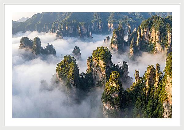 Zhangjiajie Peaks In Mist