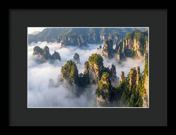 Zhangjiajie Peaks In Mist