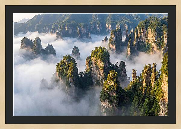 Zhangjiajie Peaks In Mist