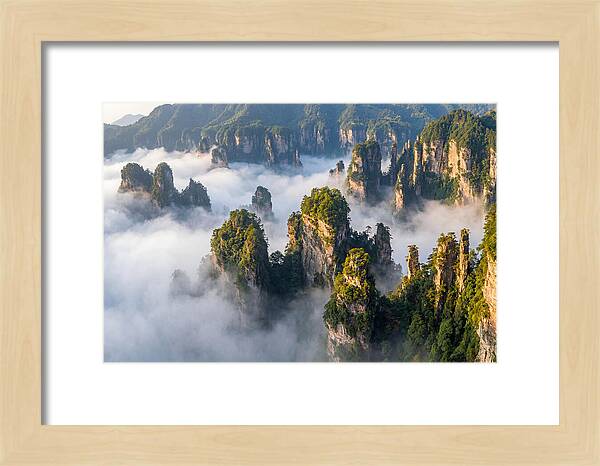 Zhangjiajie Peaks In Mist