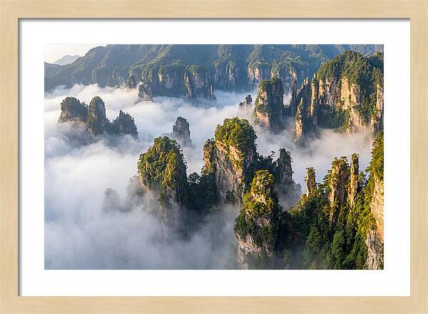 Zhangjiajie Peaks In Mist