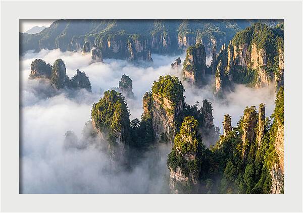 Zhangjiajie Peaks In Mist