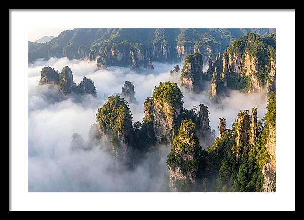 Zhangjiajie Peaks In Mist
