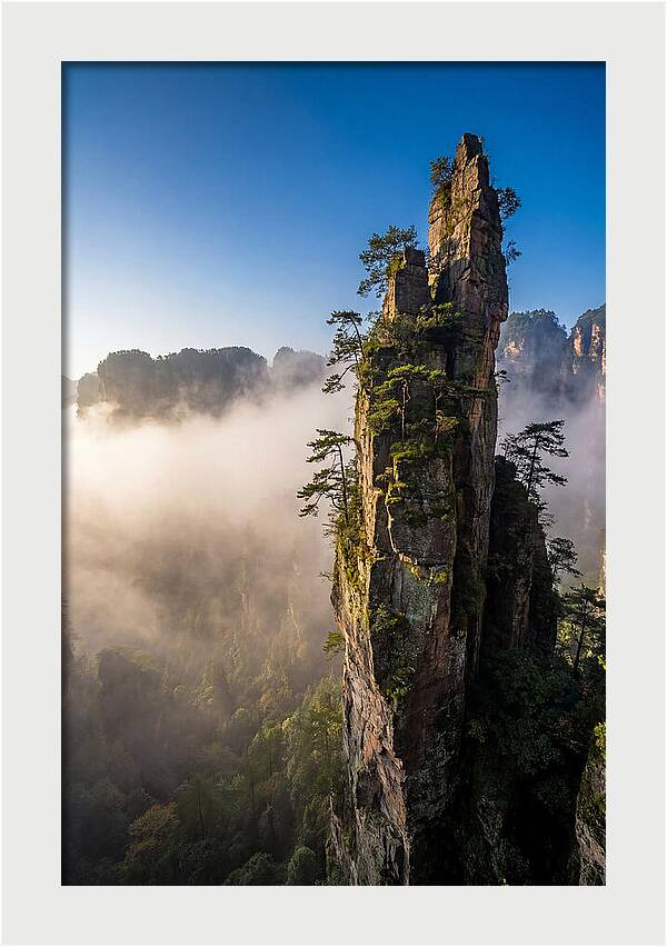 Zhangjiajie Pillar In Mist
