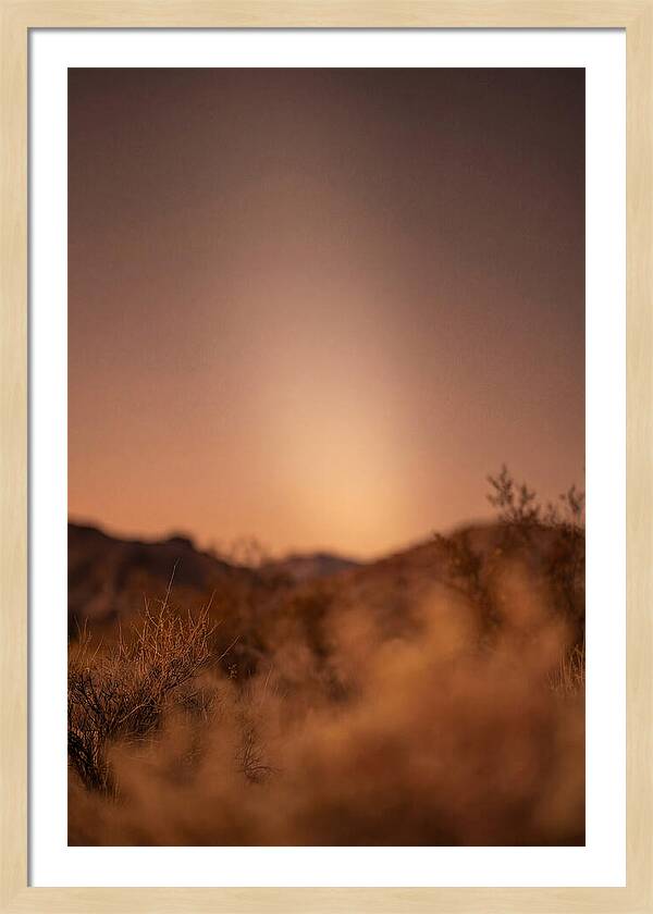 Zodiacal Light After Sunset