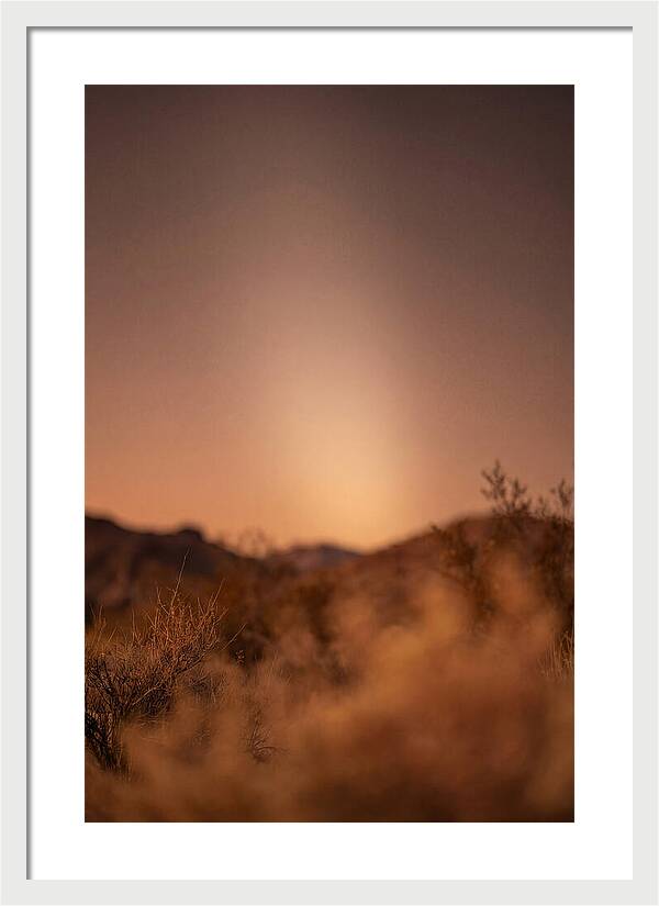 Zodiacal Light After Sunset