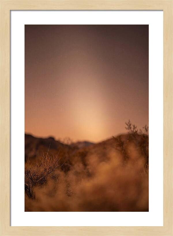 Zodiacal Light After Sunset