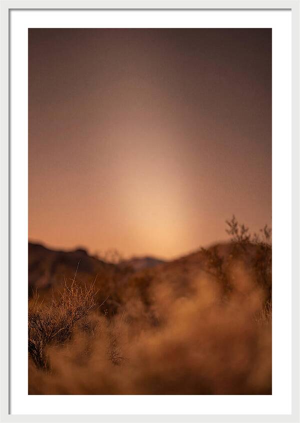 Zodiacal Light After Sunset